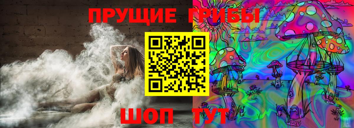 где продают наркотики  Псилоцибиновые грибы Magic Shrooms  Вход с VPN  Балашиха 
